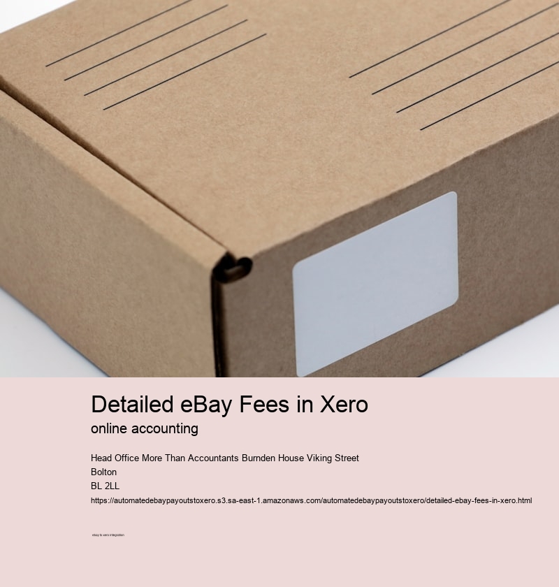 Detailed eBay Fees in Xero