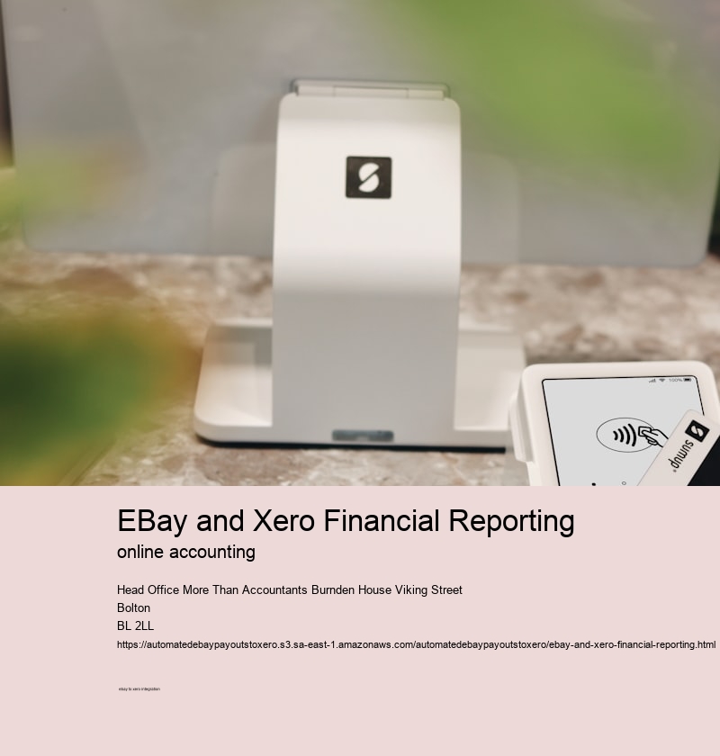 eBay and Xero Financial Reporting