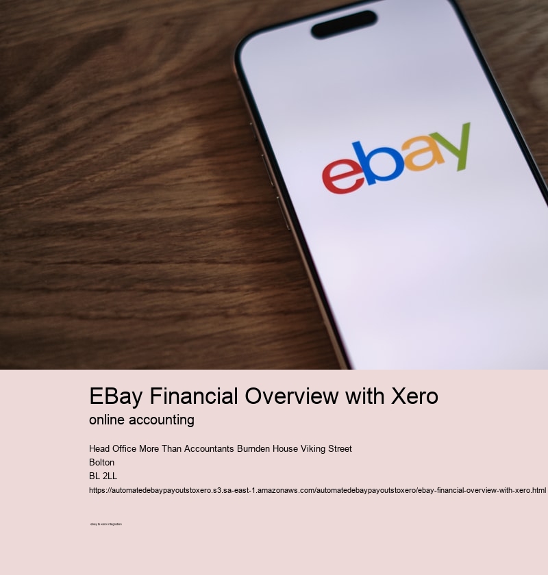 eBay Financial Overview with Xero